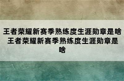 王者荣耀新赛季熟练度生涯勋章是啥 王者荣耀新赛季熟练度生涯勋章是啥